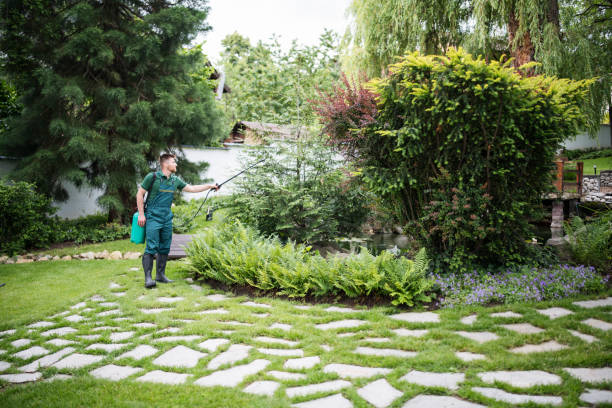Best Best Pest Control Companies  in Northbrook, IL