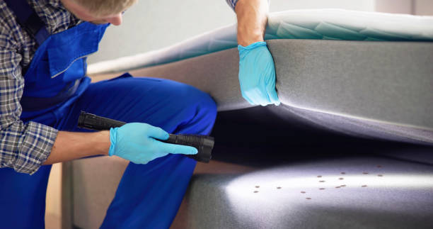 Best Cockroach Control Services  in Northbrook, IL