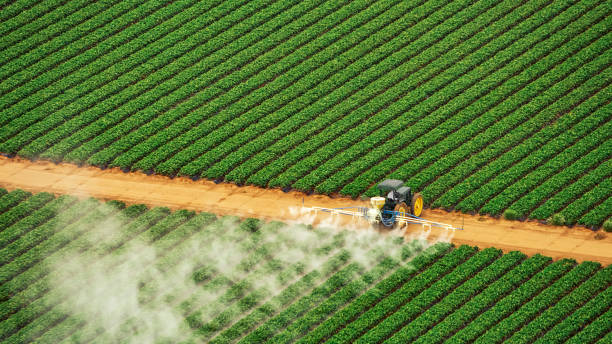 Best Pest Removal Services  in Northbrook, IL