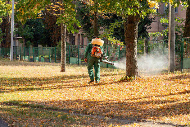 Best Residential Pest Control  in Northbrook, IL