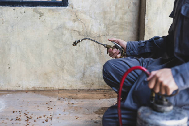 Best Exterminator Services  in Northbrook, IL
